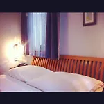 فندق مبيت وإفطار Bor 3*