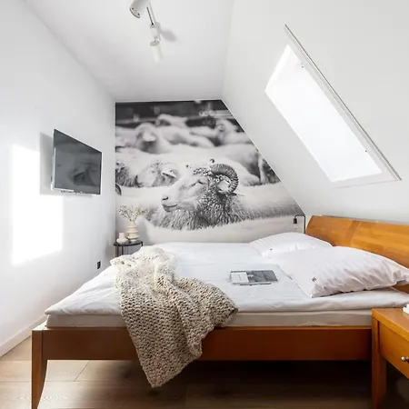 Bed & Breakfast Bor Zakopane