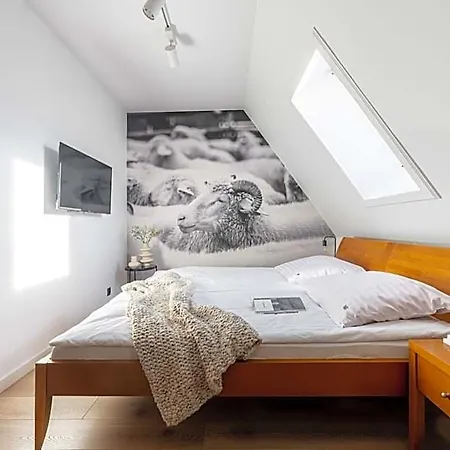 Bed & Breakfast Bor 3*