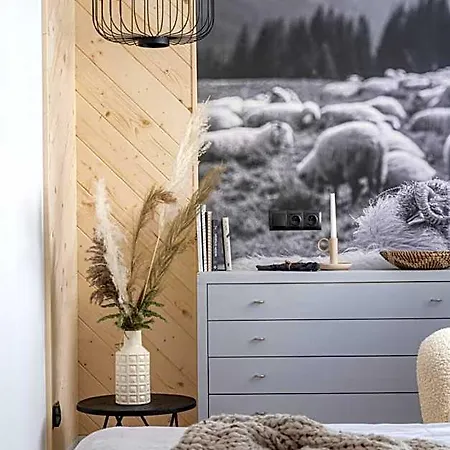 Bed & Breakfast Bor Zakopane