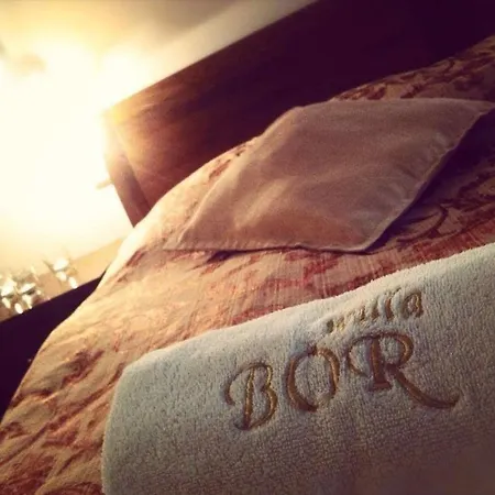 Bor فندق مبيت وإفطار 3*