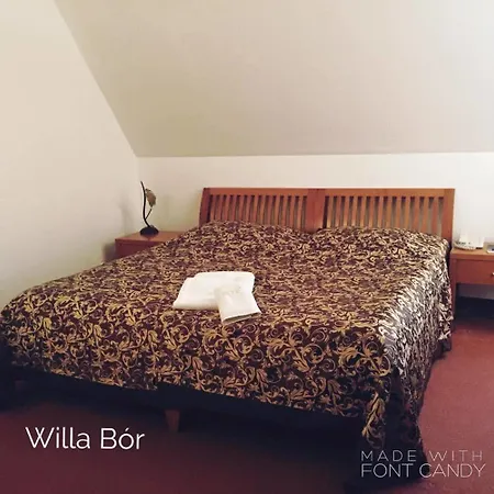 Bor فندق مبيت وإفطار 3*