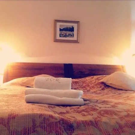 住宿加早餐酒店 威拉波尔酒店 扎科帕内