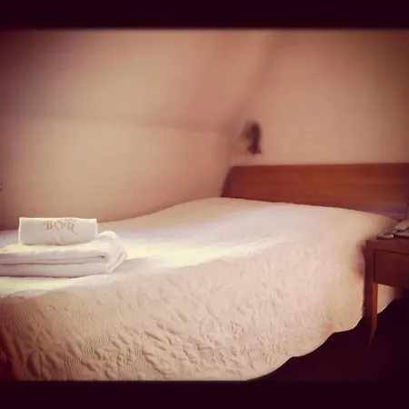 ウィラ　ボル ベッド・アンド・ブレックファスト ザコパネ