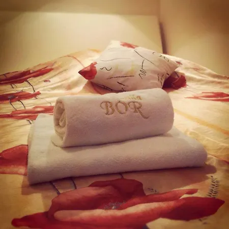 فندق مبيت وإفطار Bor