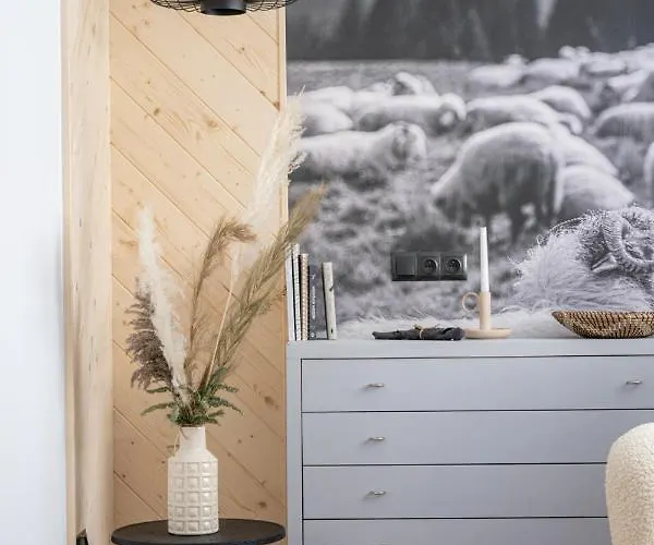 Bed & Breakfast Bor 3*