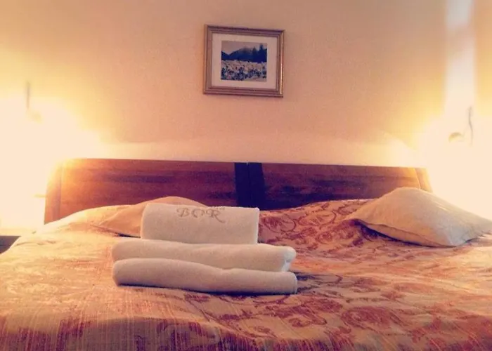 Bed & Breakfast Bor Zakopane