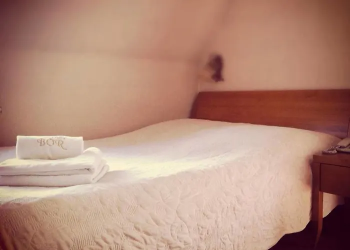 Bor Couette-café Zakopane