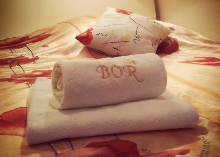 Bed & Breakfast Bor